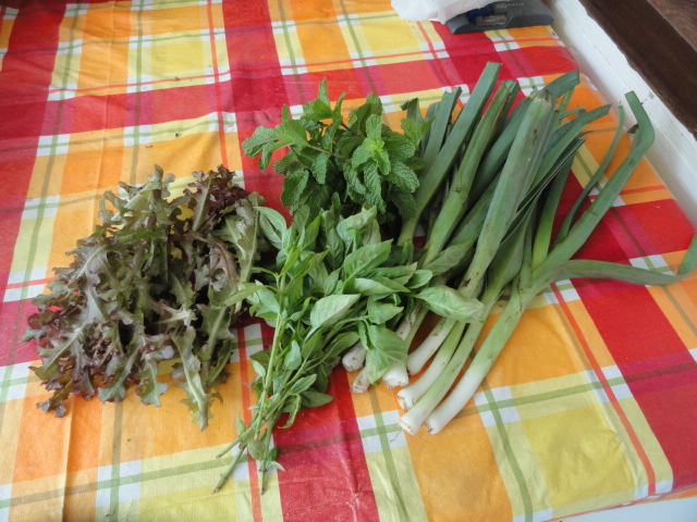 Eleuthera Island Farm produce