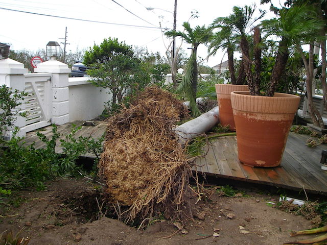 After Hurricane Irene