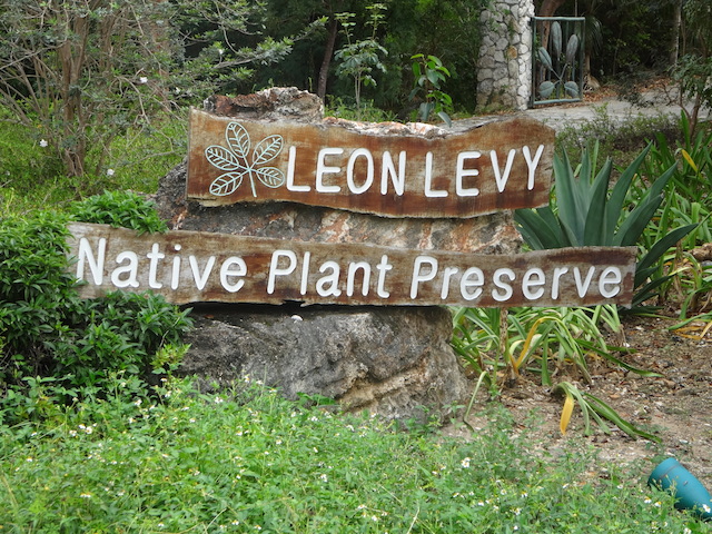The Leon levy Preserve Eleuthera