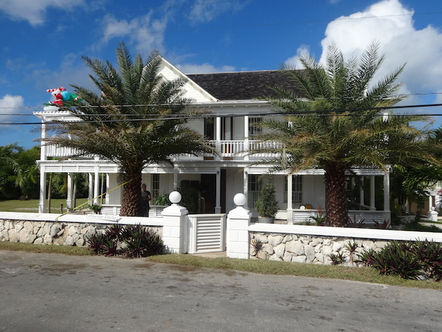 Beautiful date palms in place at Buena Vista