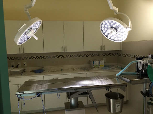 Amazing surgery suite