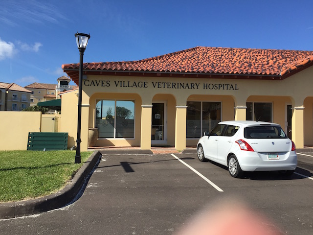 Exterior of the Veterinary Hospital at Caves Village Nassau