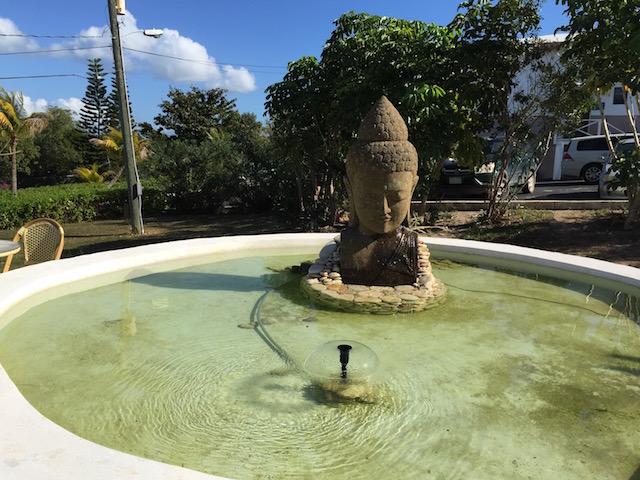 The Buddha water feature.