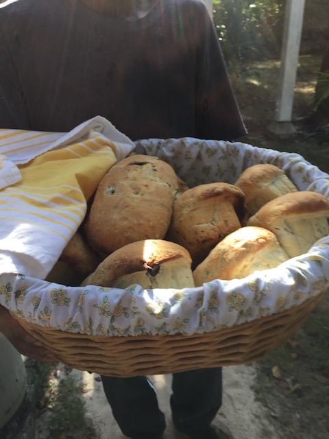 One of the speciality breads - I think this one is olive .....