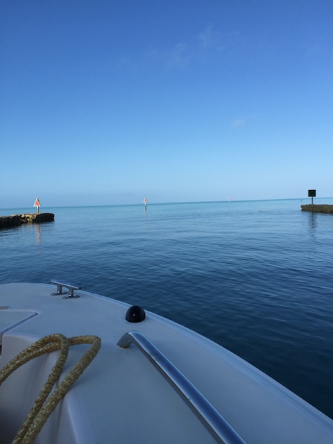 What a glorious day heading out of Davis Harbour