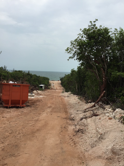 The view from the top of Turtle Bay development