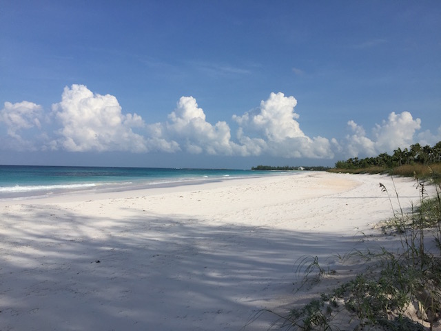 This was the day after Hurricane Matthew if you can believe it - French Leave Beach