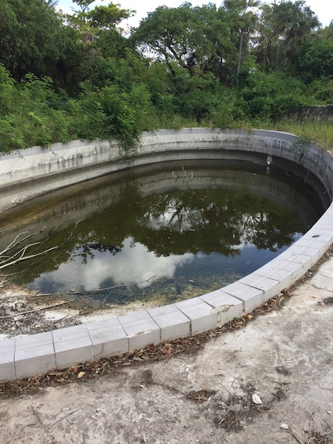 The main swimming pool - built by Gunnite Pools in Nassau in the 50's or 60's ? this can be renovated - built to last !