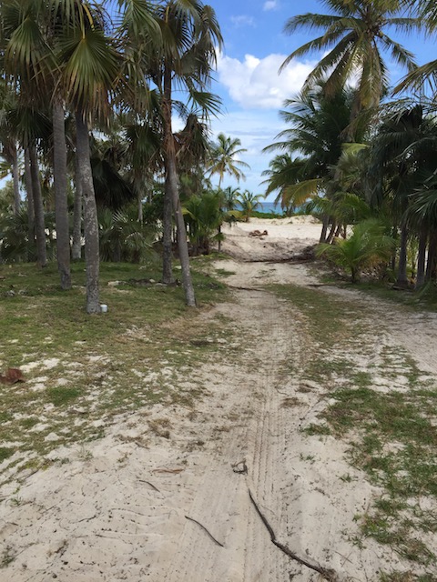 Another view awn to the ocean from the site - imagine this in 12 months time !