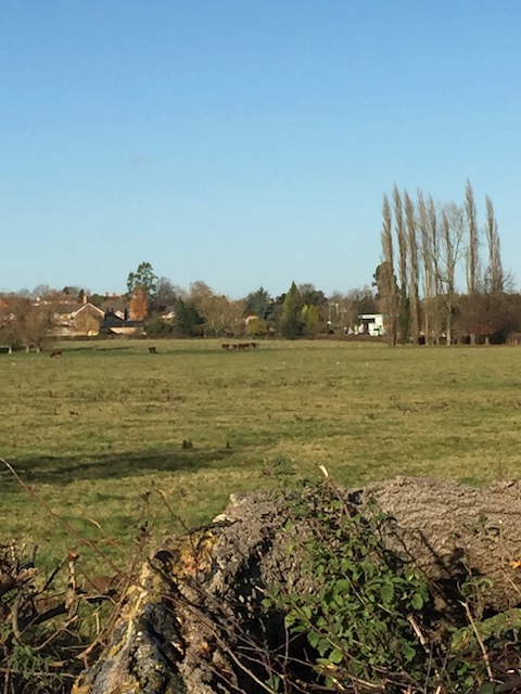 Lovely English countryside 