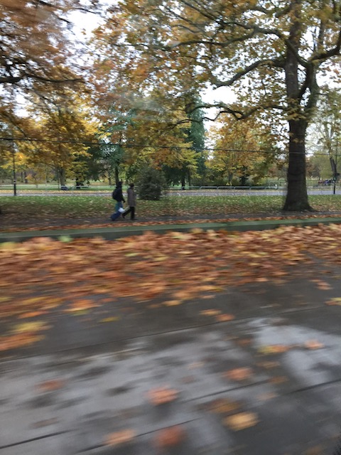 Hyde Park from a taxi - still plenty of leaves on the trees.....
