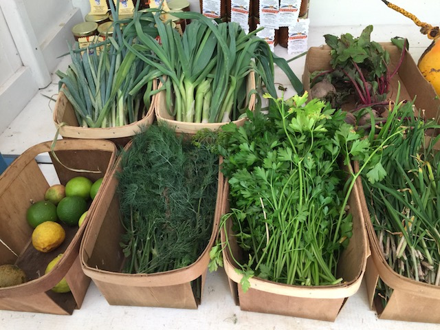 Lovely fresh herbs