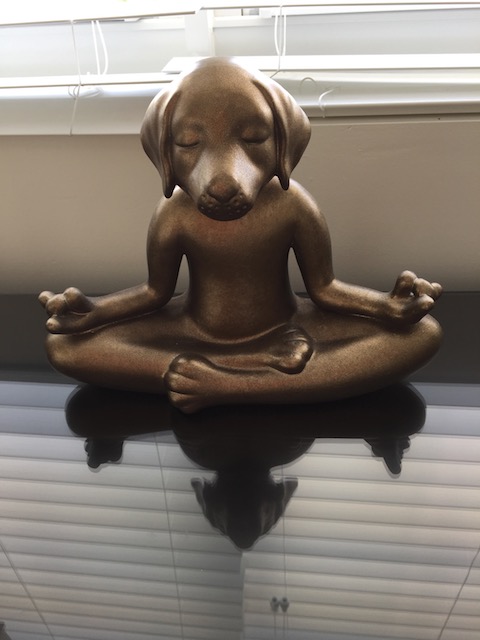 I loved this meditating buddha dog in our hotel room.....