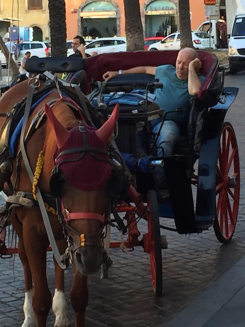 A bit too much of an early start for this caleche driver in Rome .....