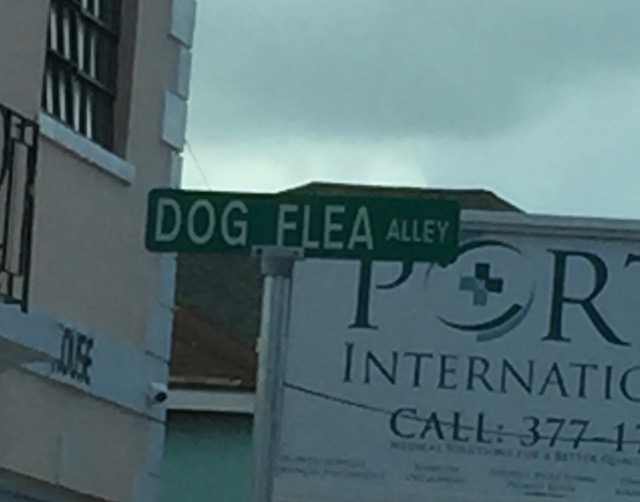 How about this for a street name ! In Nassau near the hospital ......