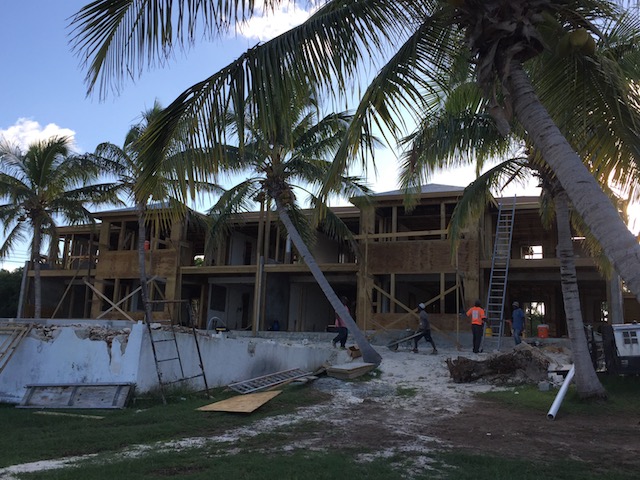 Everything looks great framed by a palm tree don't you find ? This is going to look very pretty ......