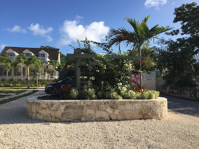 The planters are flourishing with all the rain we have had.....