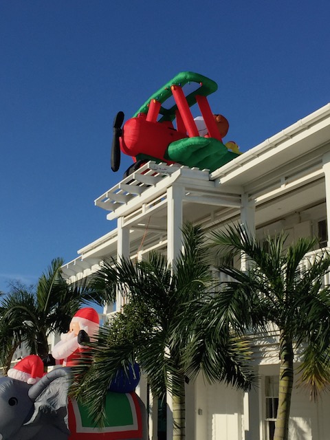 Snoopy and Peanuts up there on the roof.....