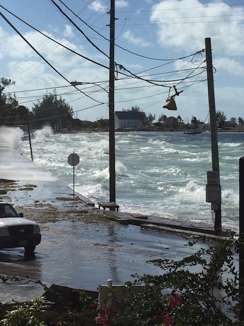 Really wild in the Harbour.....