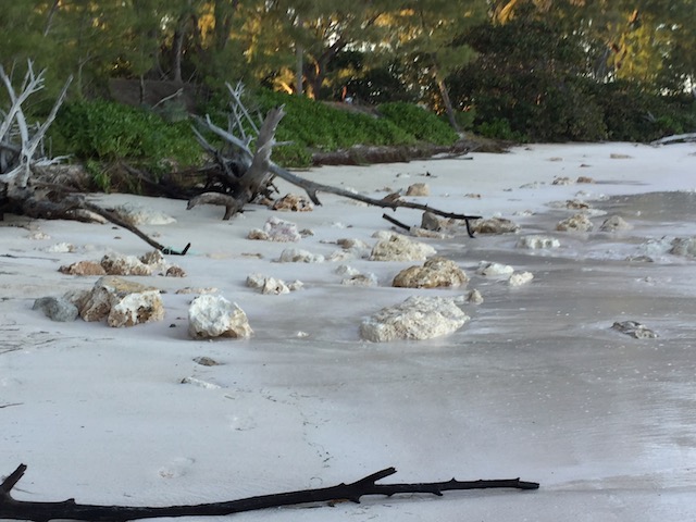 In 14 years of going to this beach I have never seen all these rocks exposed by the sand washing out....