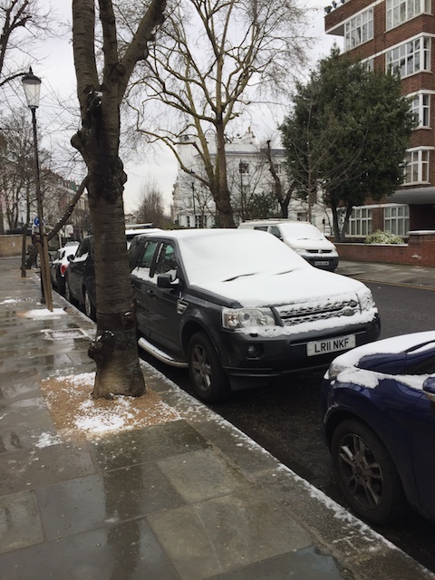 Snow on the cars .....