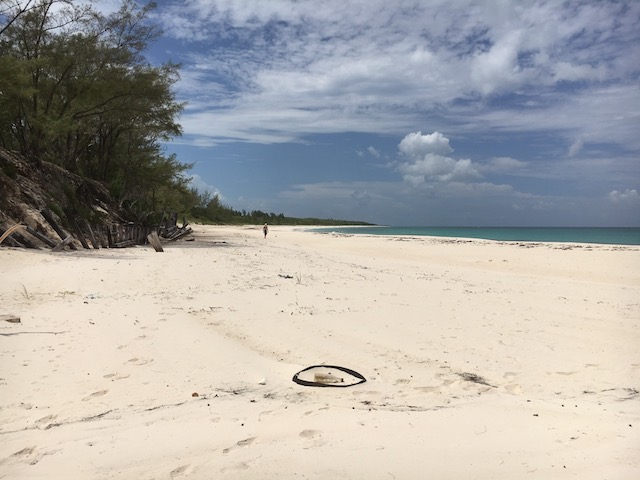 If you look very carefully you can see Bob walking north on the beach