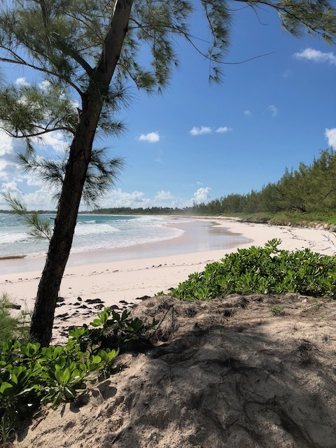 Beaches looking a bit better than they have done the last few weeks