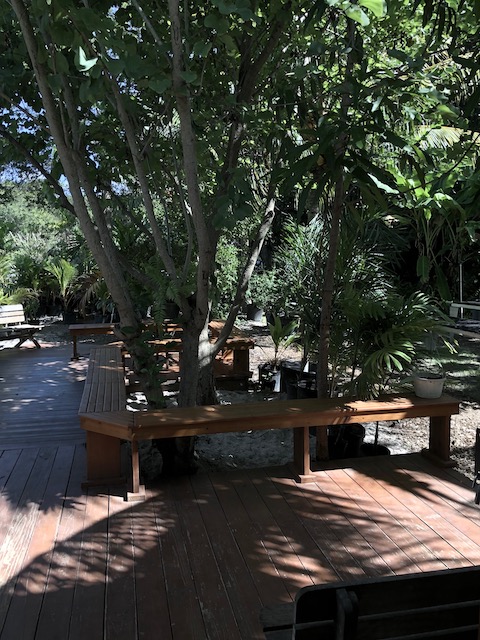 The lovely shaded seated area at the farm where you can enjoy a coffee whilst shopping....