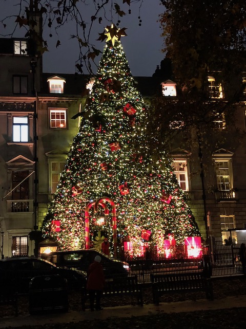 This is not a tree in front of a building - t is is treatment on the facade of the building - spectacular !