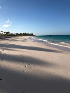 The beach late afternoon where we take the dogs.....